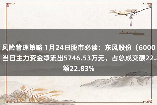 风险管理策略 1月24日股市必读：东风股份（600006）当日主力资金净流出5746.53万元，占总成交额22.83%