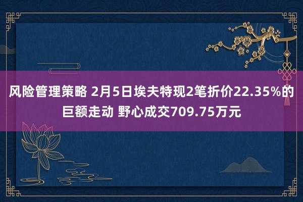 风险管理策略 2月5日埃夫特现2笔折价22.35%的巨额走动 野心成交709.75万元