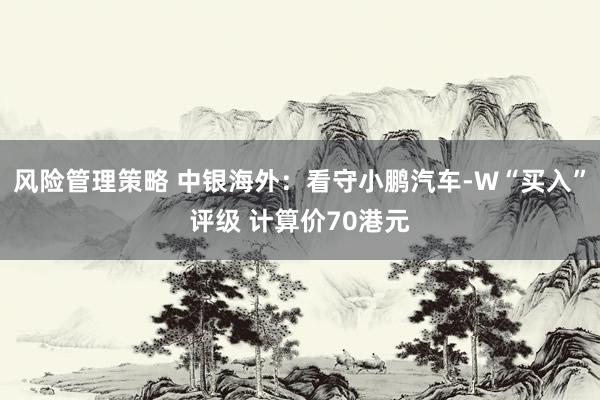 风险管理策略 中银海外：看守小鹏汽车-W“买入”评级 计算价70港元