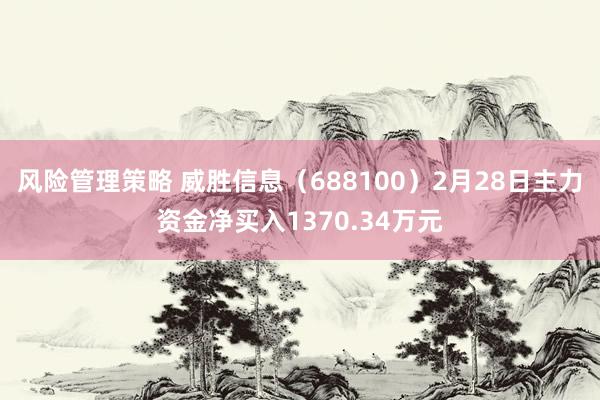 风险管理策略 威胜信息（688100）2月28日主力资金净买入1370.34万元