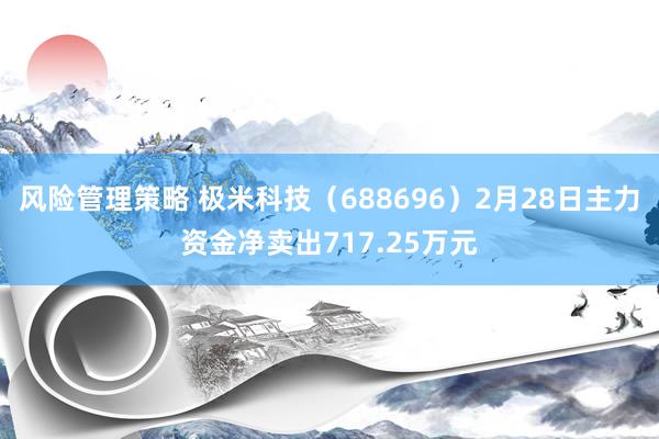 风险管理策略 极米科技（688696）2月28日主力资金净卖出717.25万元