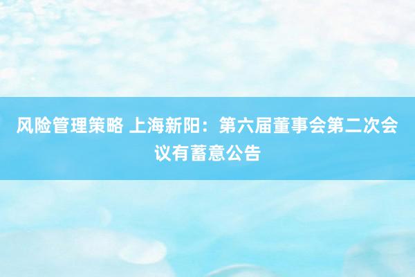 风险管理策略 上海新阳：第六届董事会第二次会议有蓄意公告